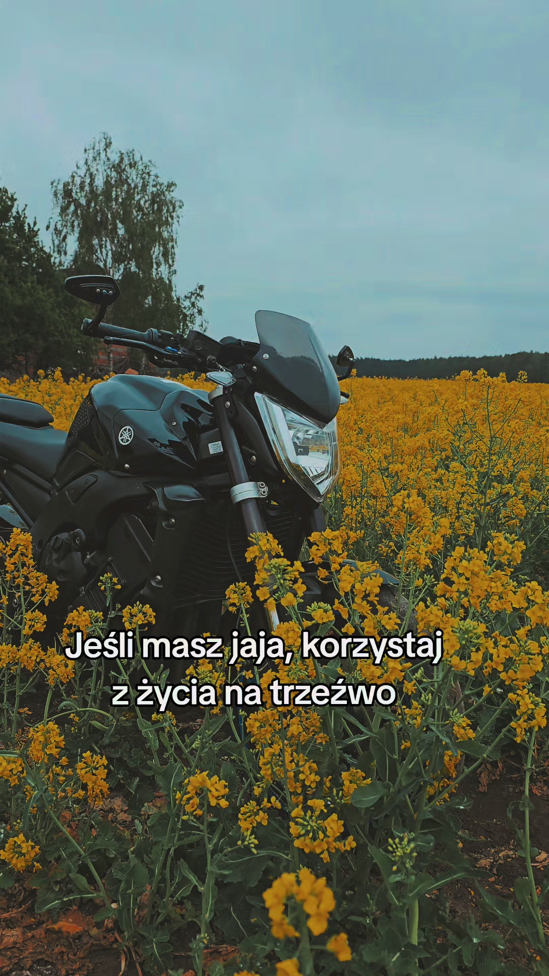 @Anonimowy