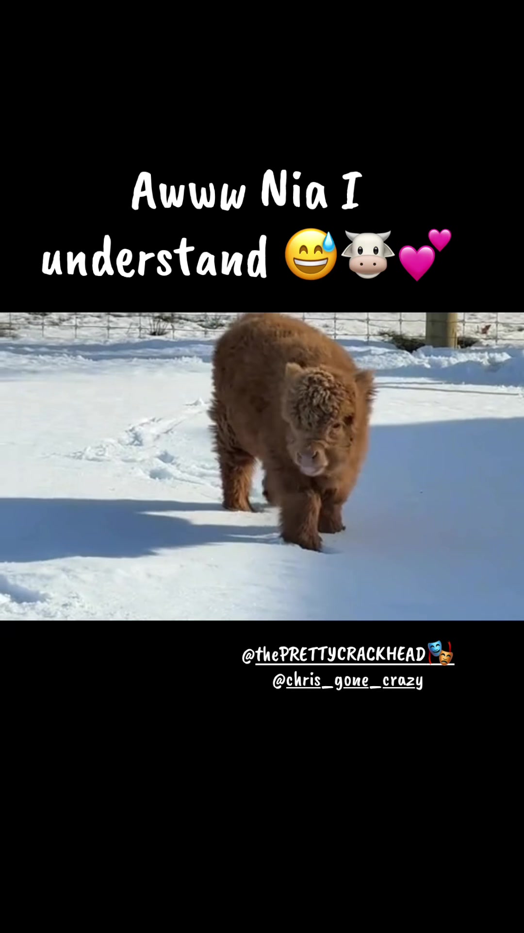 @Crazy_n_love 5/30