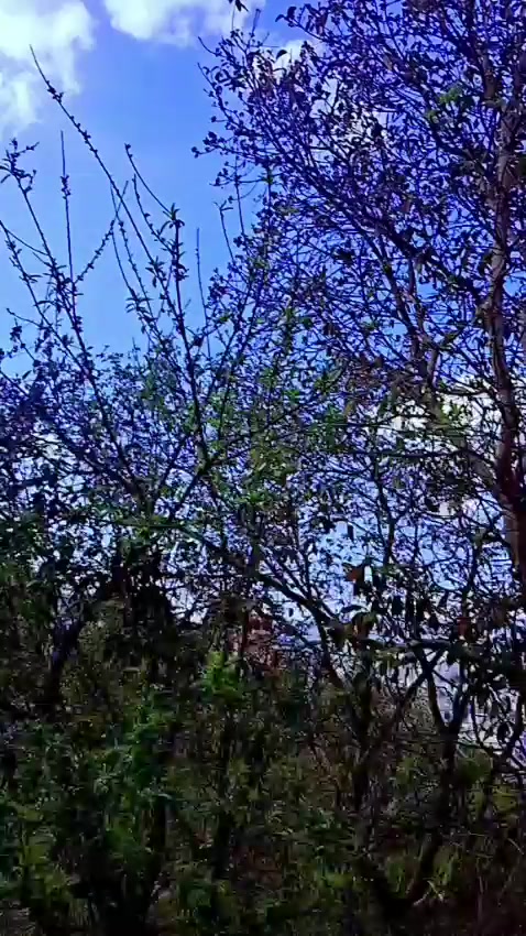 @गीता💝तामाङ☘️