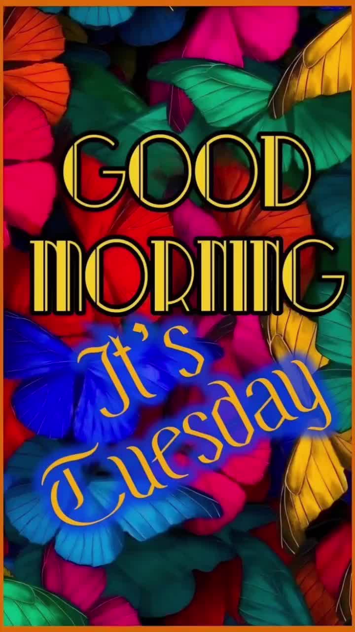 @Shannon Gonzales 555 โ๏ธ