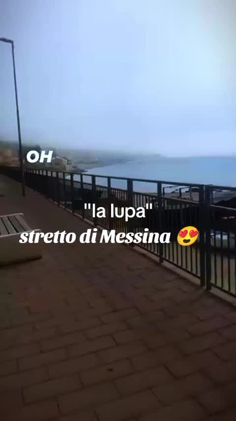 @mariagraziabrusch