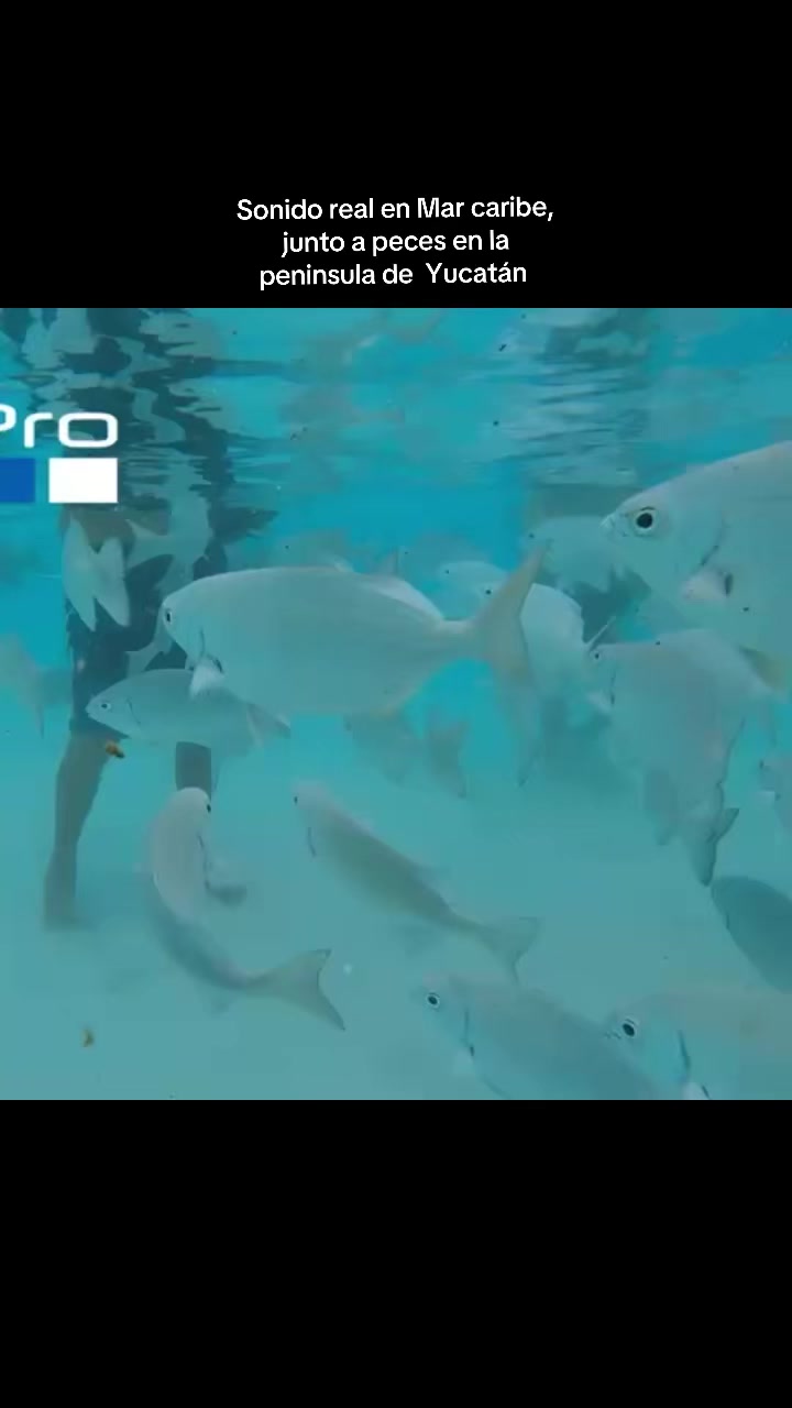@Marcelo Arroyo