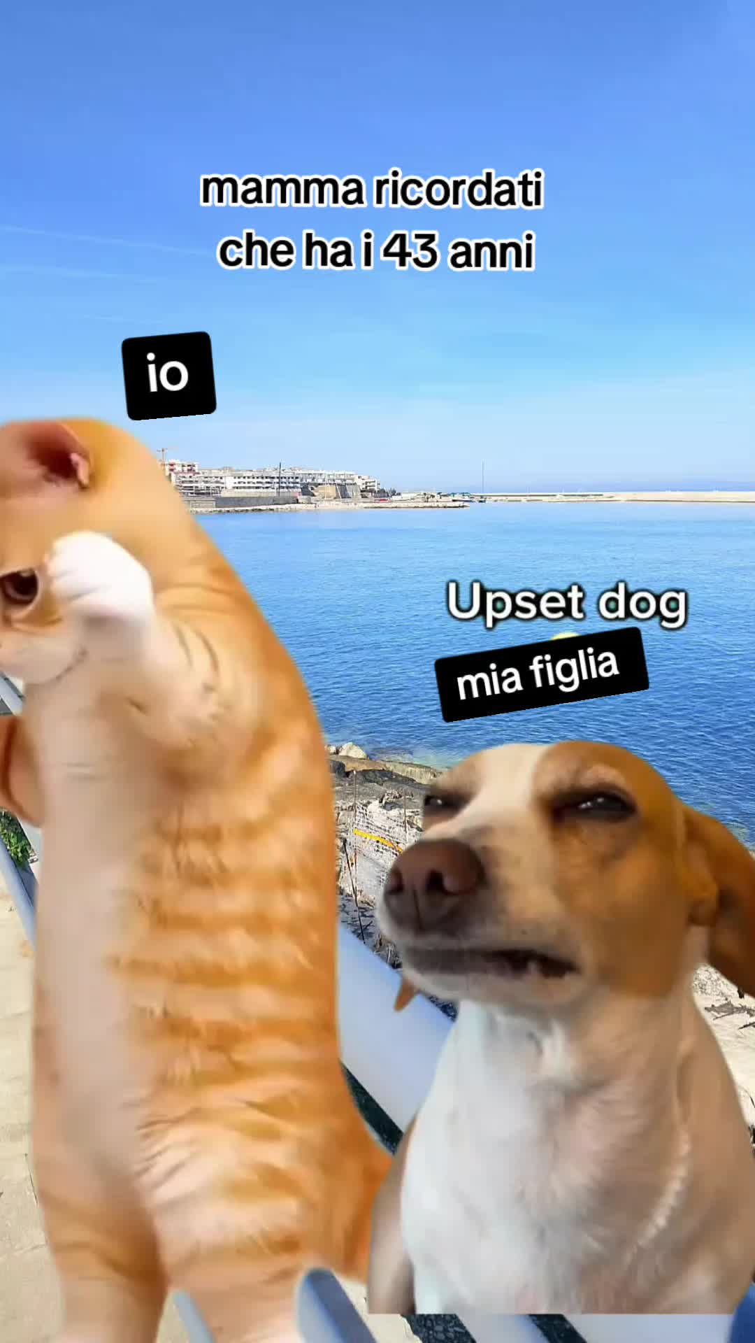 @doriana