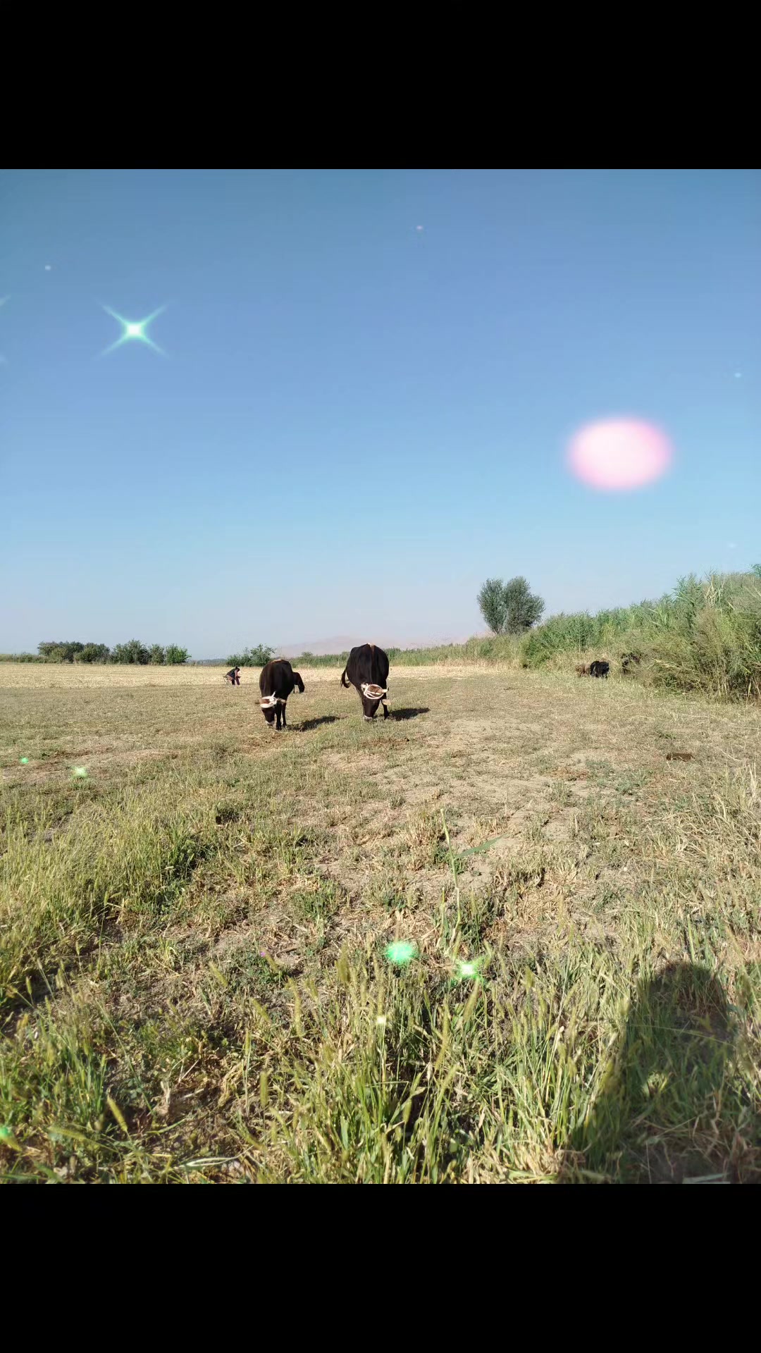 @Айдаров А