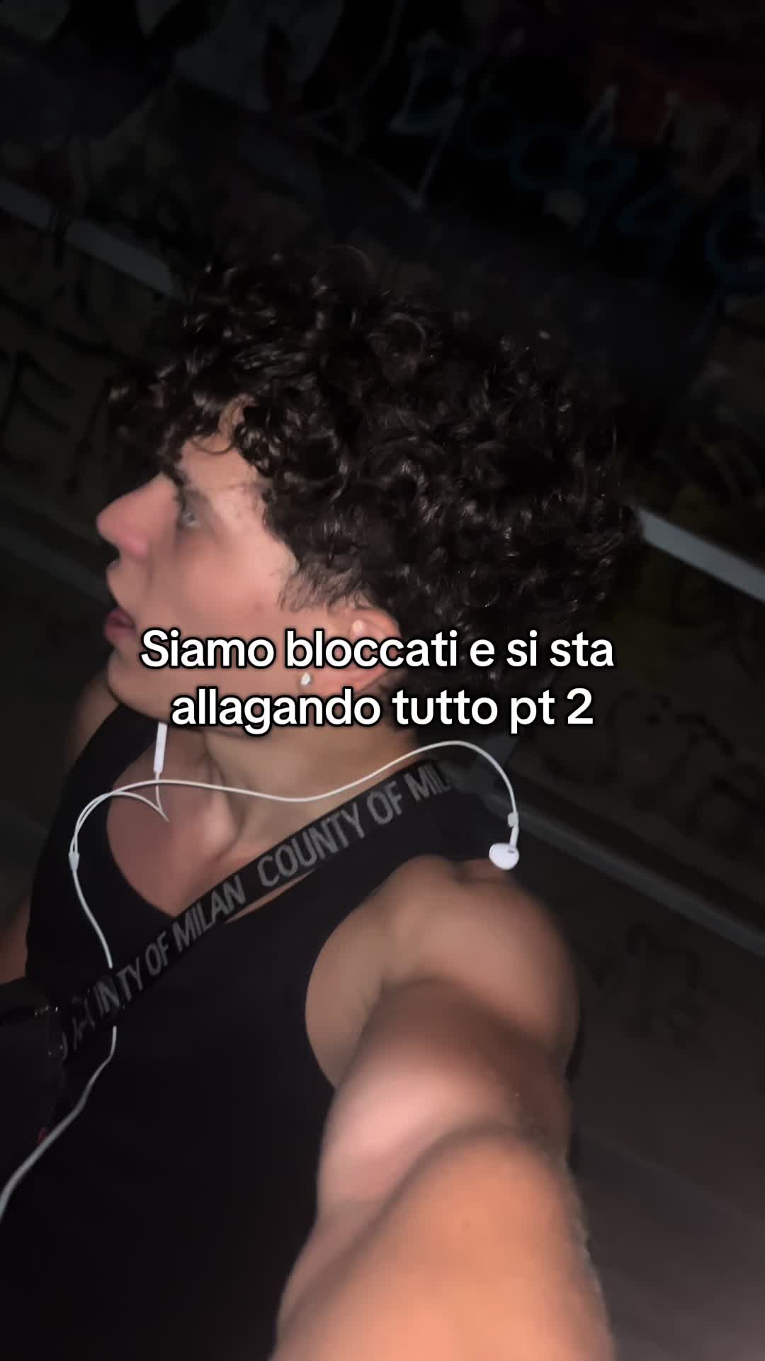 @gattinocattolico
