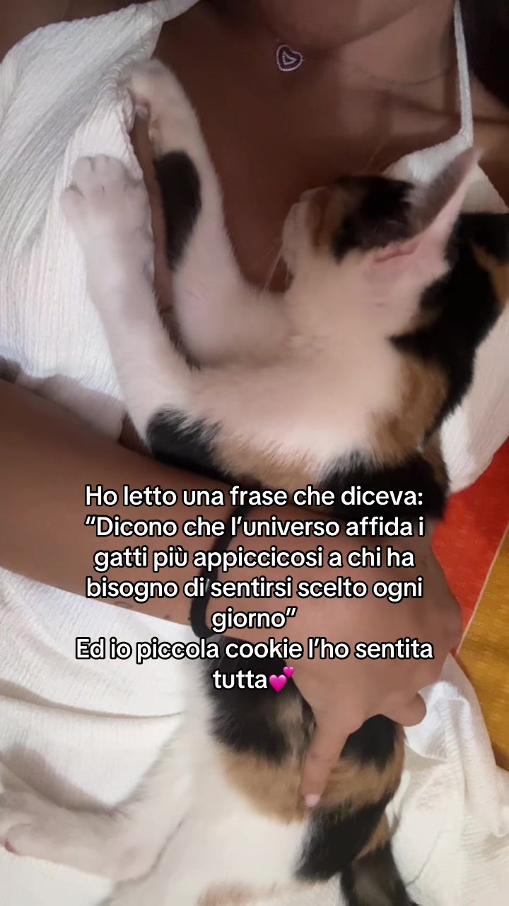 @sharon_gatti