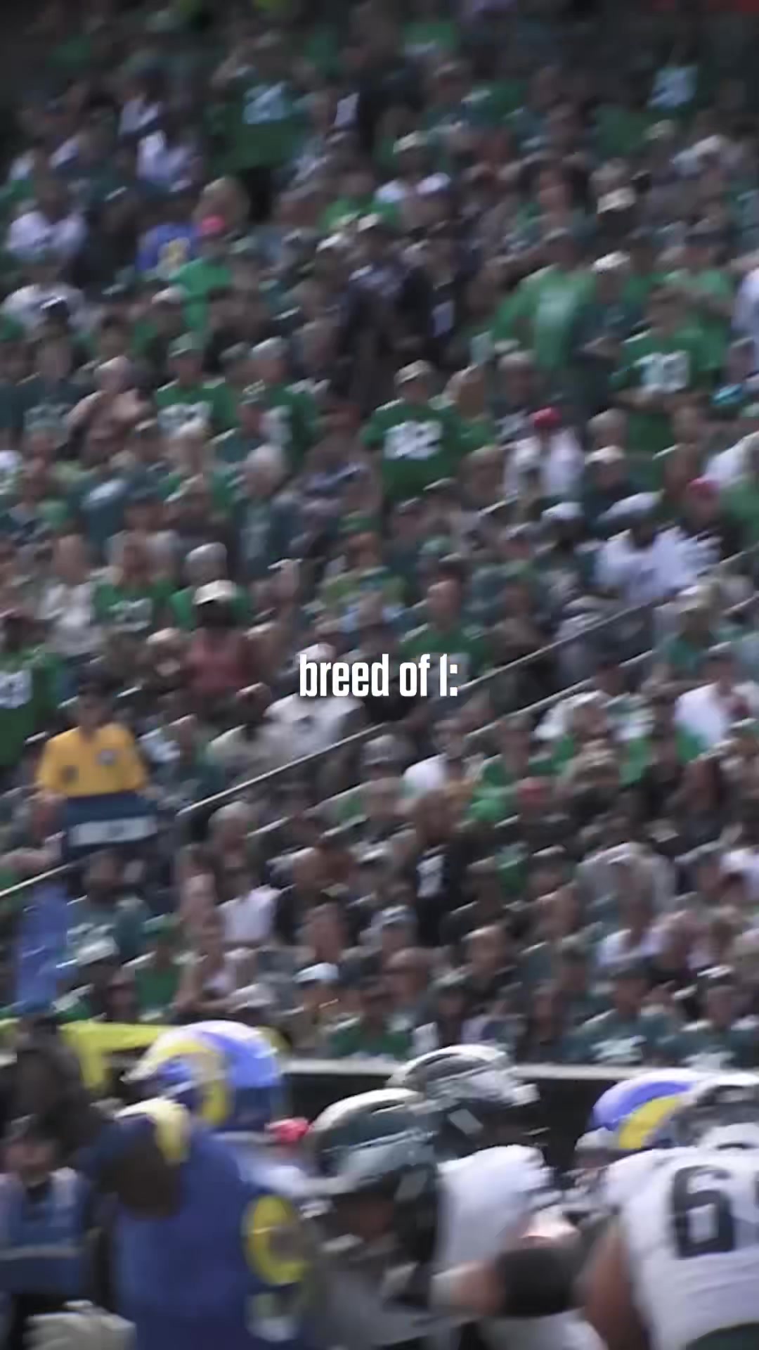 @Philadelphia Eagles