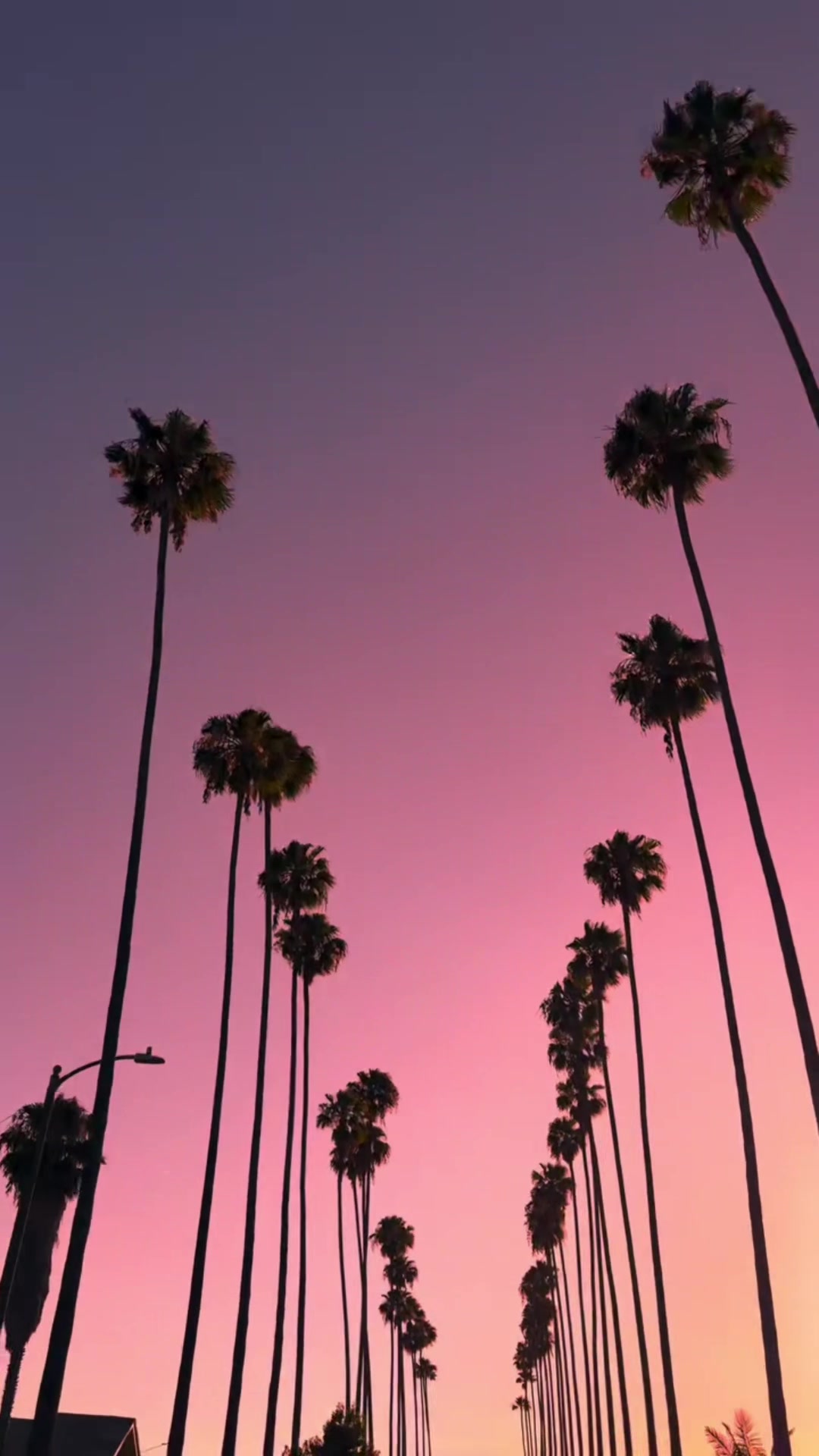 @Christie’s socal