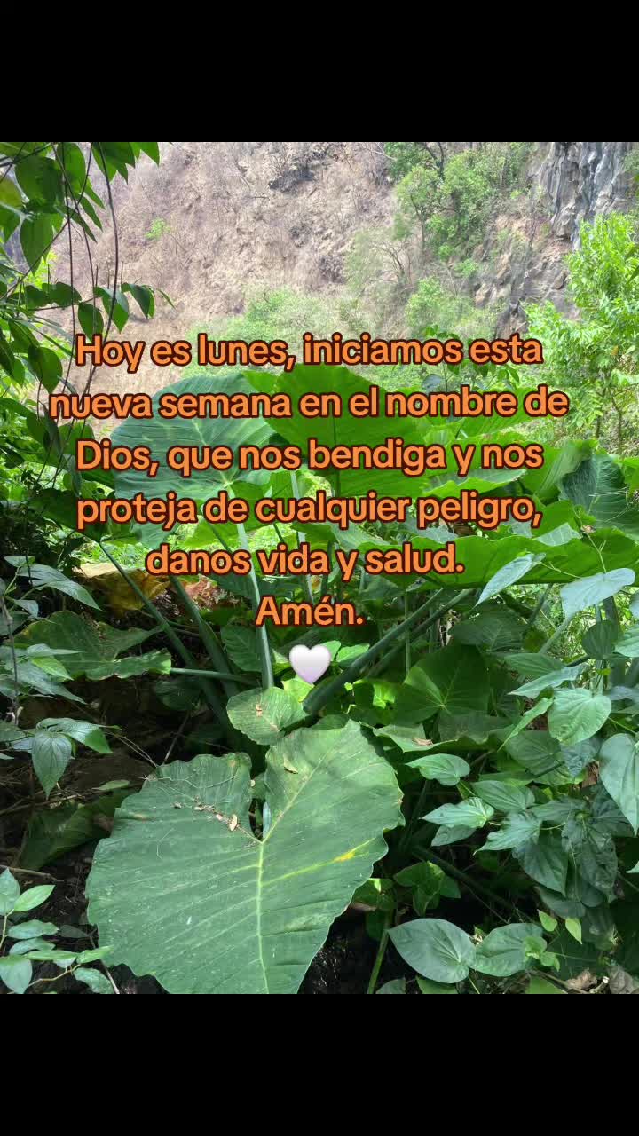 @doly.dfn