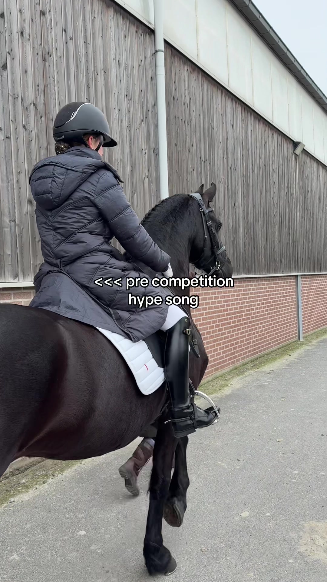 @Phoebe Tack Dressage