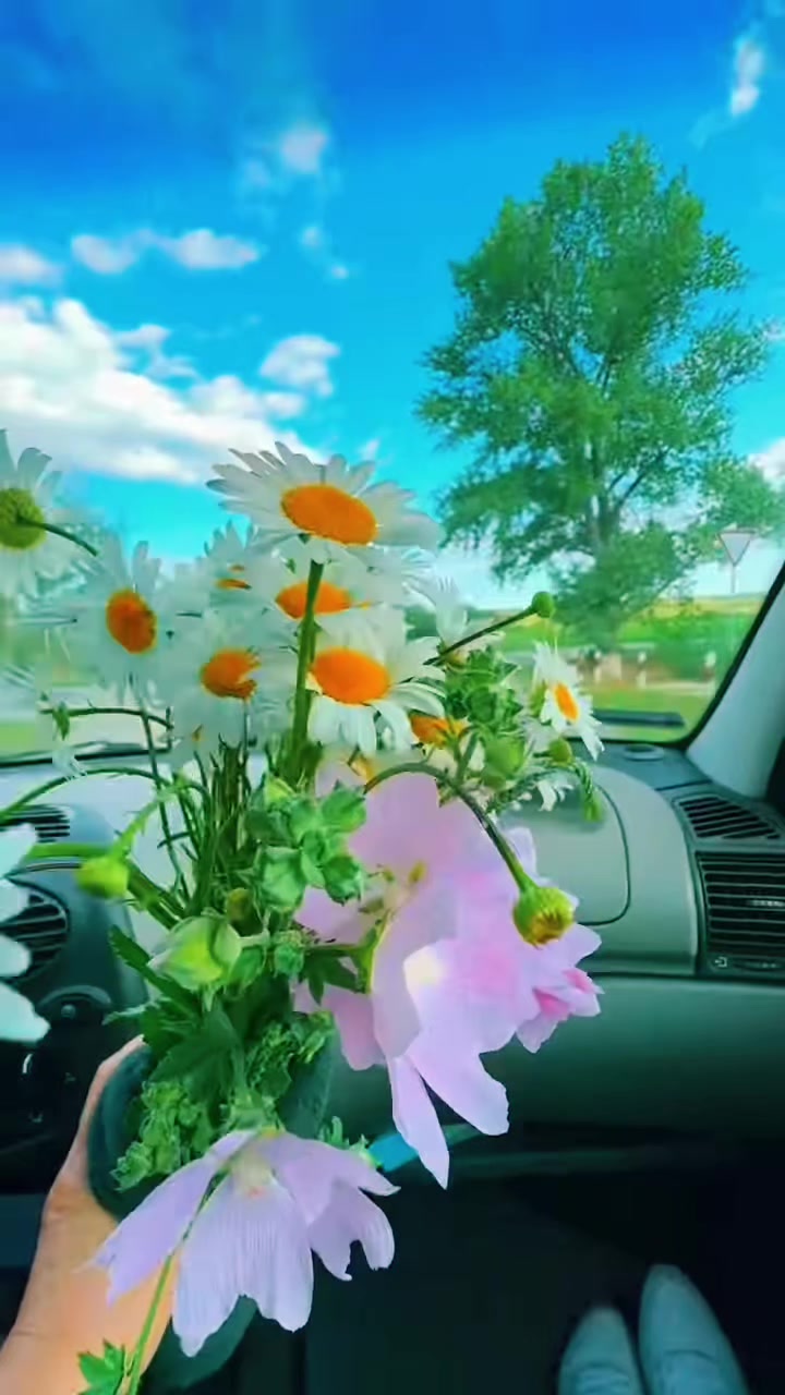 @Марина 🌹