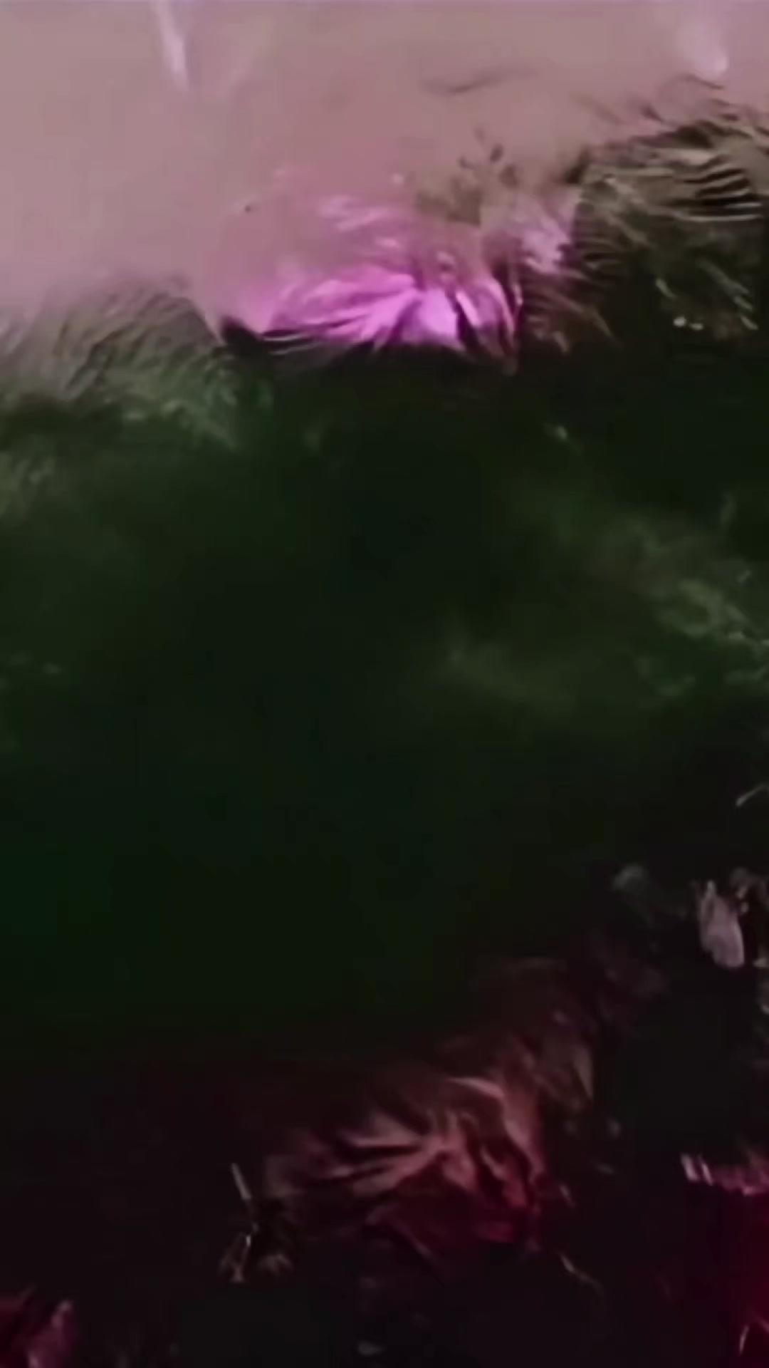 @𝕾.𝕸.𝕽𝖆𝖏𝖆..🎶