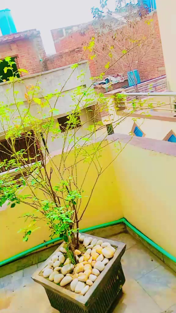 @&Ntilde;&Atilde;❀❀ احسن کی بیگم ہوں ❀❀