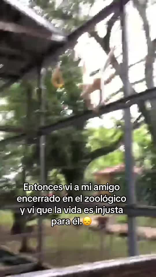 @Patricia 🧜🏻♀️🌸