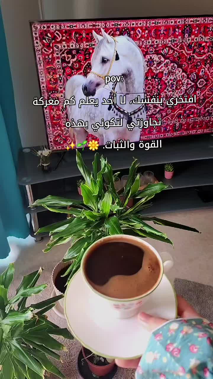 @🎀 Aya khalil 🎀