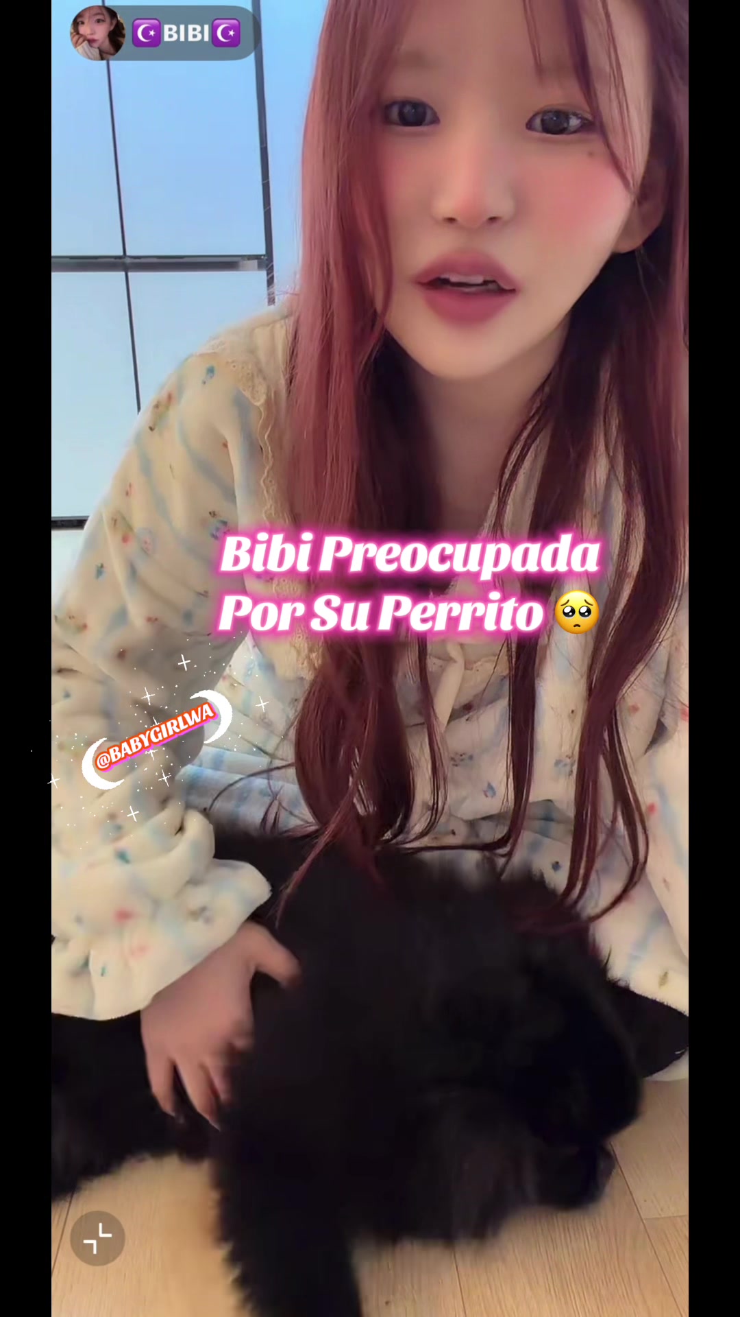 @๐๐ฑ๊ง๐๐๐๊งโช๏ธ๐ฆ๐