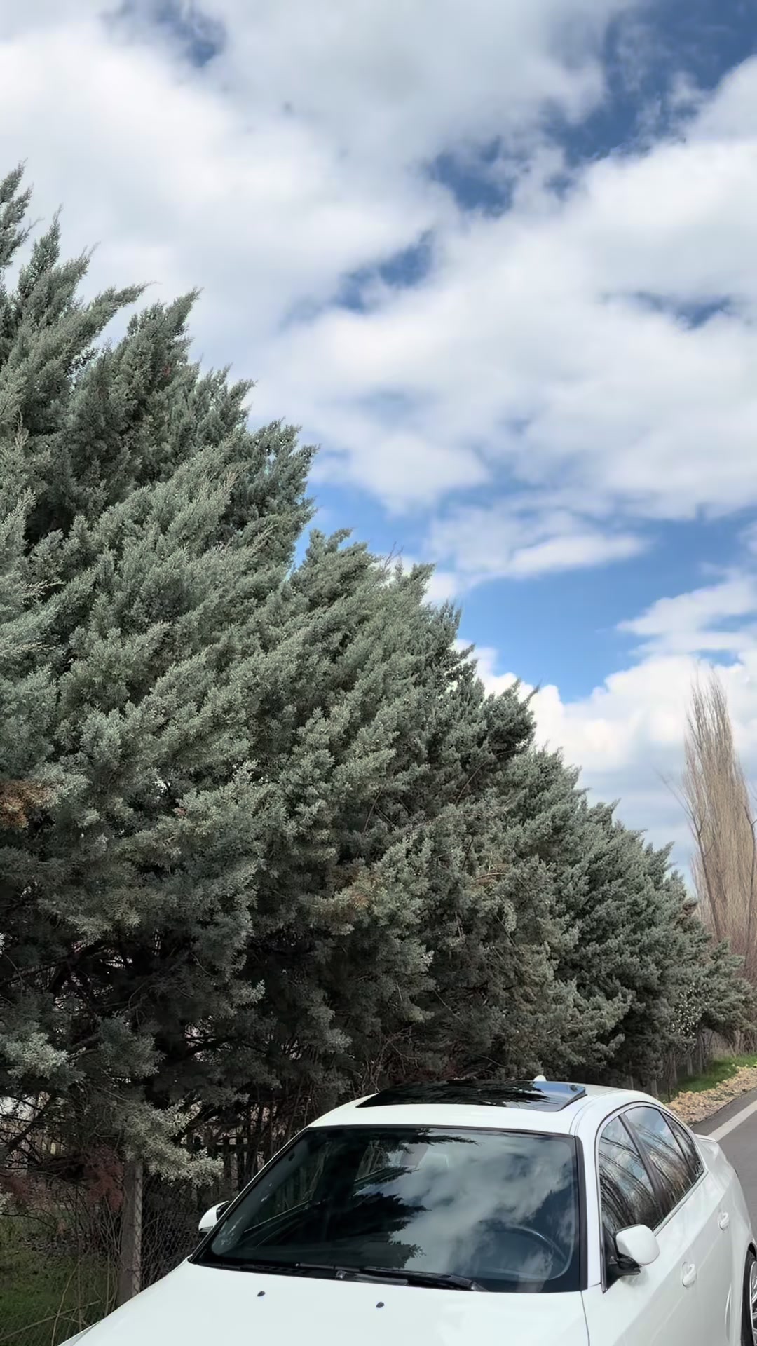 @𝓚.𝓴 🦅