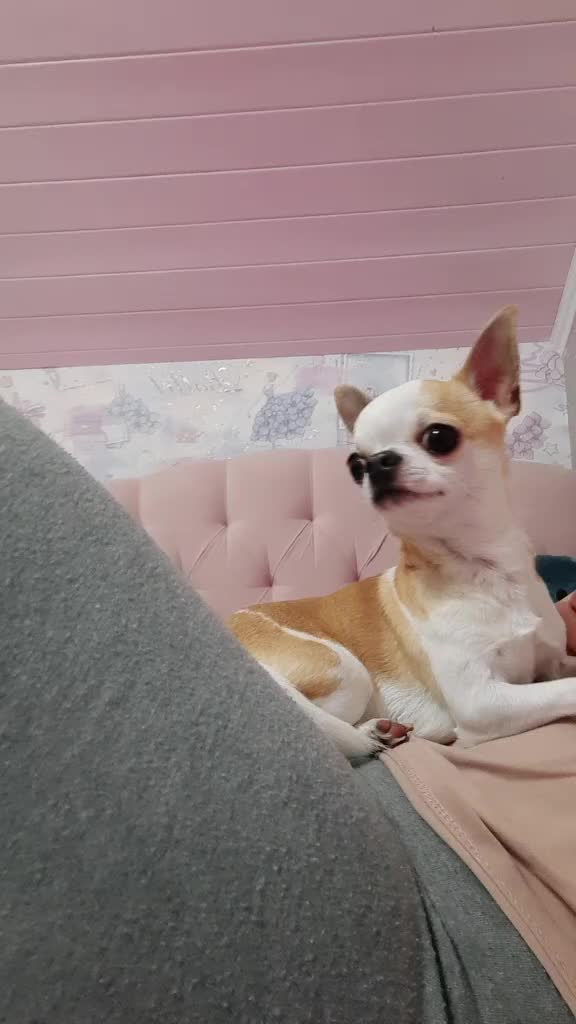 @๐๐ก๐๐_๐๐ค๐๐๐ง๐ฃ