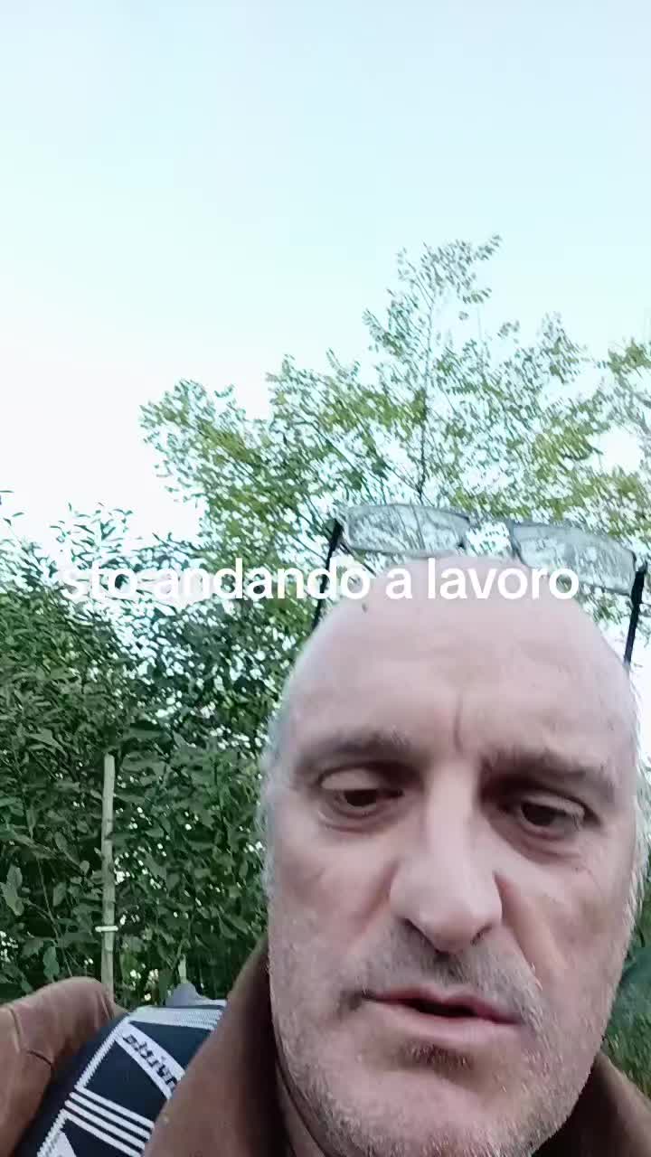 @sono bravo