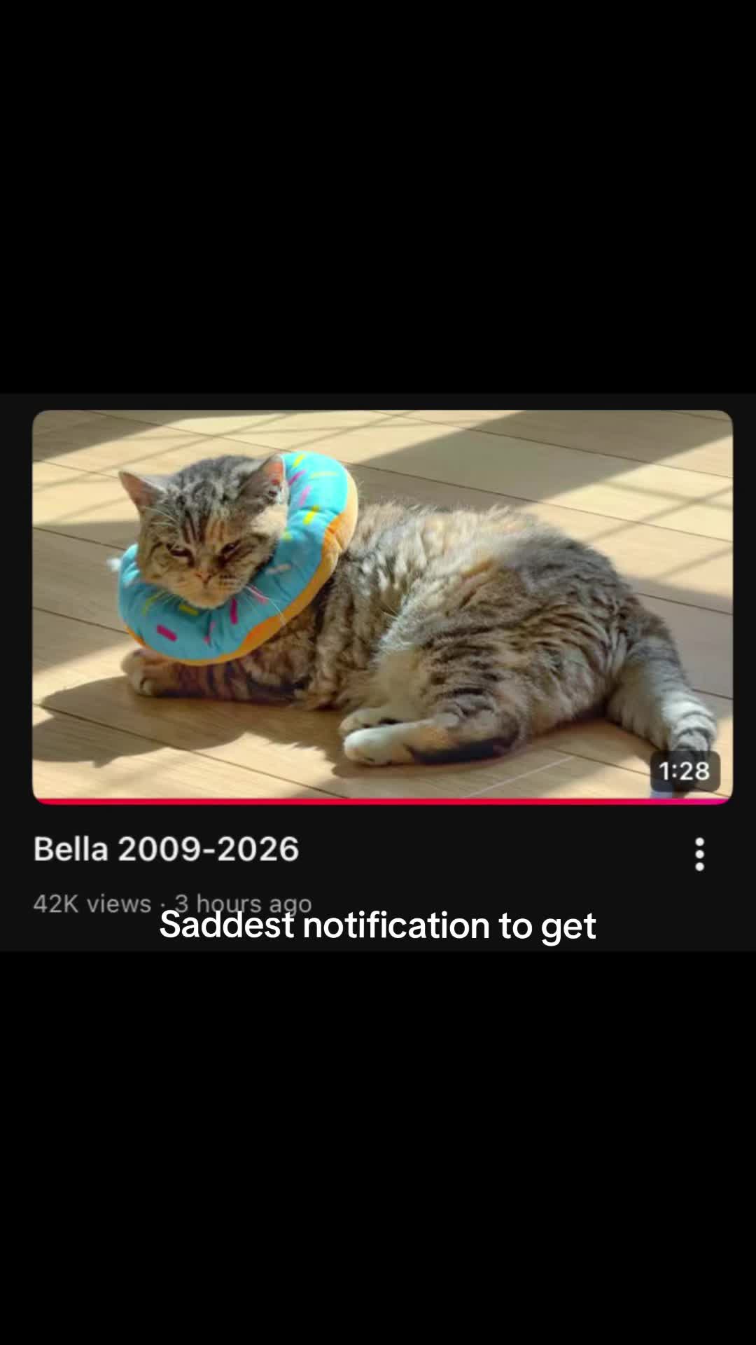 @Mrcatmeows