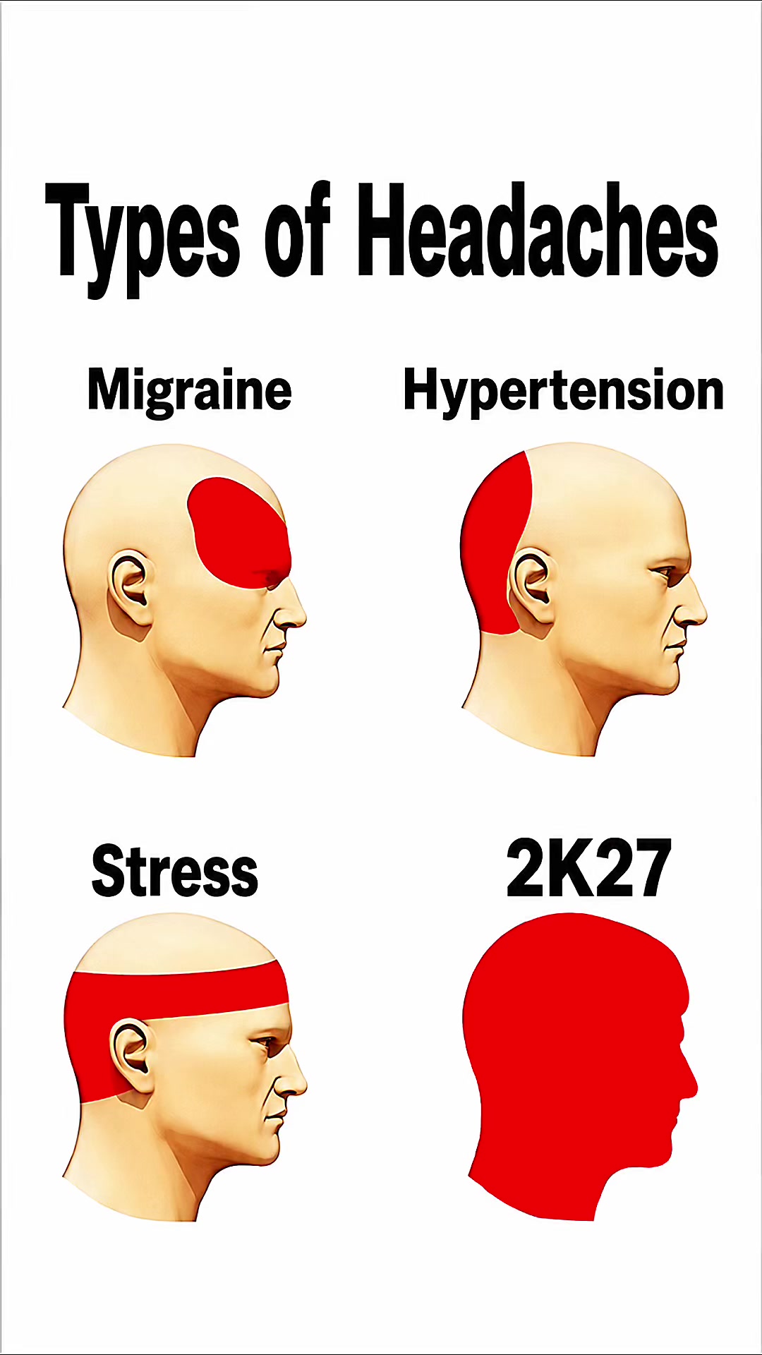 @SplashIntellect