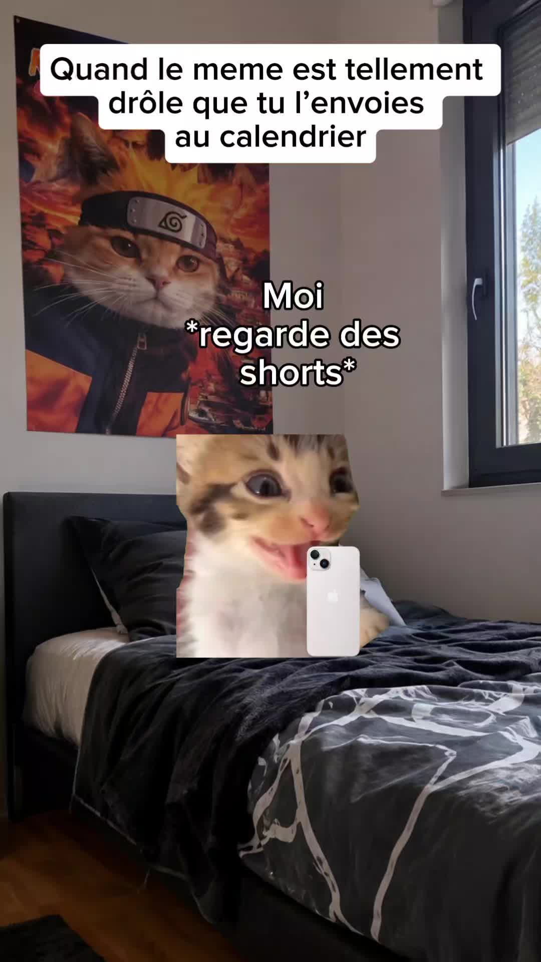 @shorts2chat 😽