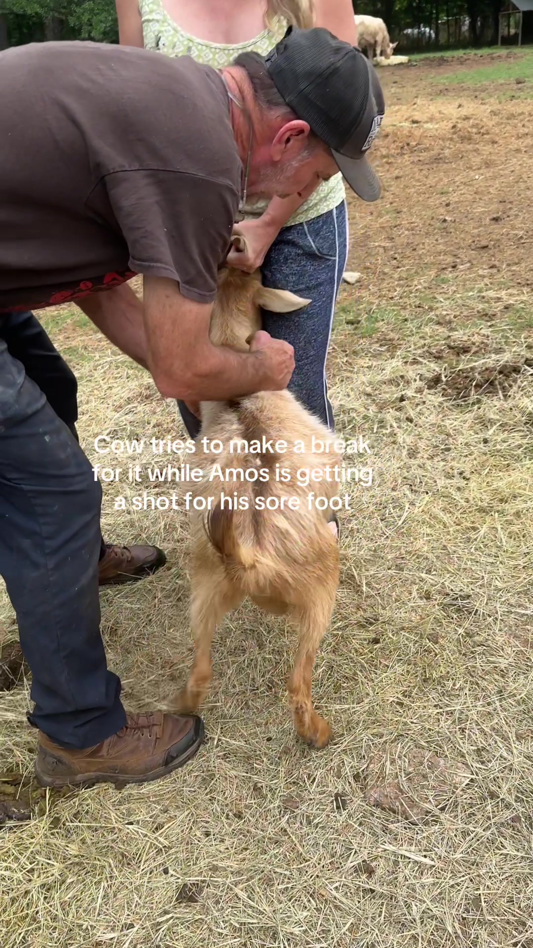 @chellyroo2