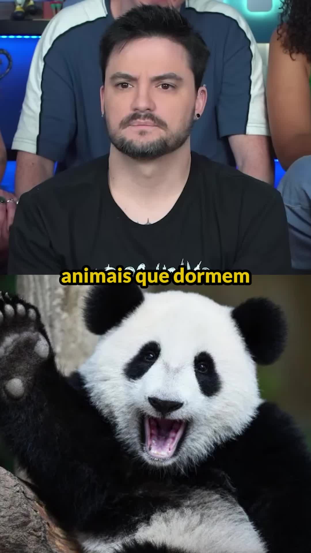 @Felipe Neto