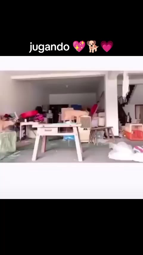 @varcan❤️