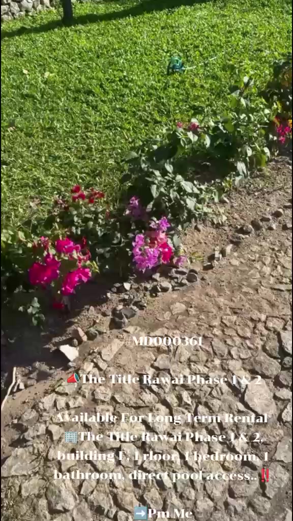 @Kanokporn_Mandy