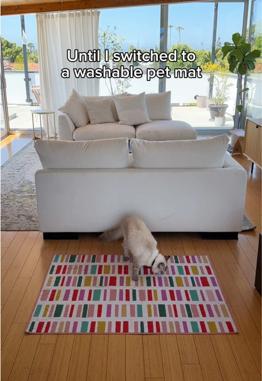 @Lovewag Pets