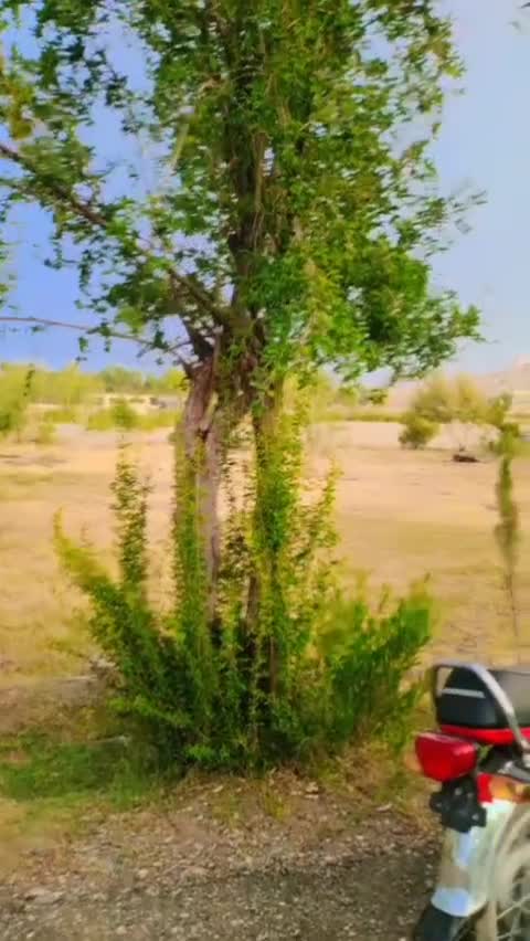 @Bari kakar
