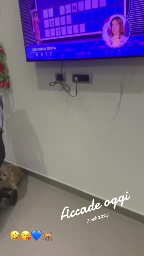 @La piccola Perla 🐕