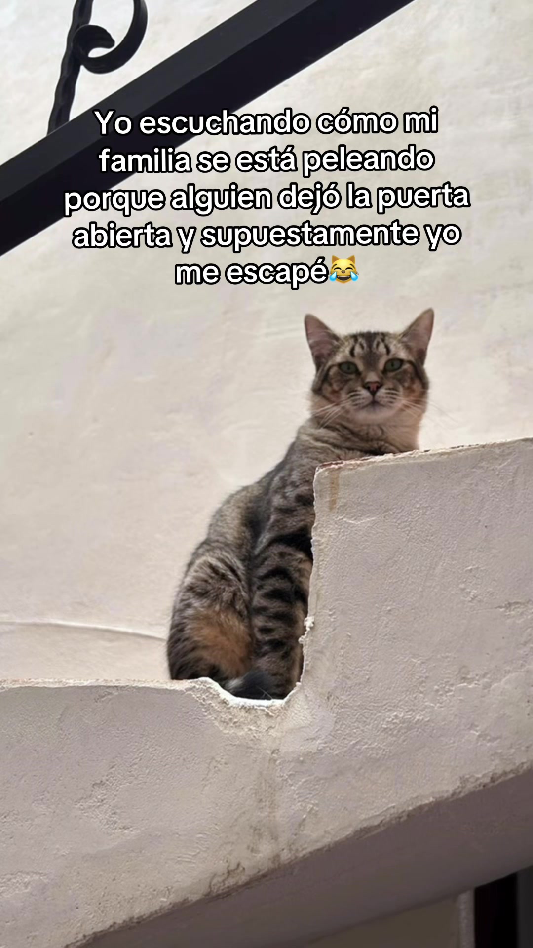 @Claus Jumarti