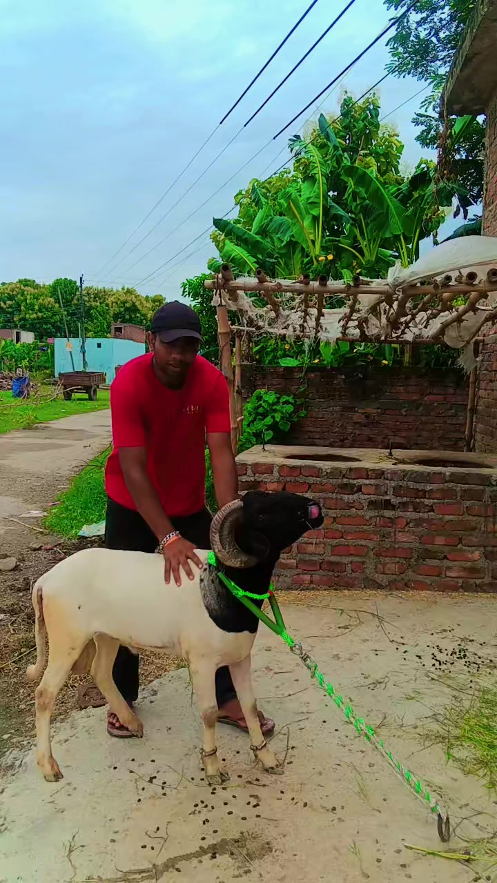 @Mannu Yadav