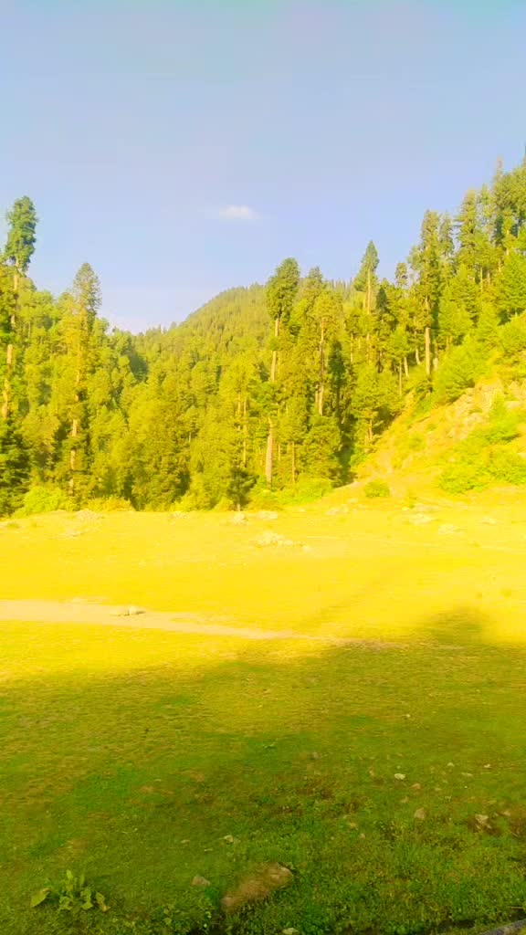 @{Sayed shakir(Ak47)}