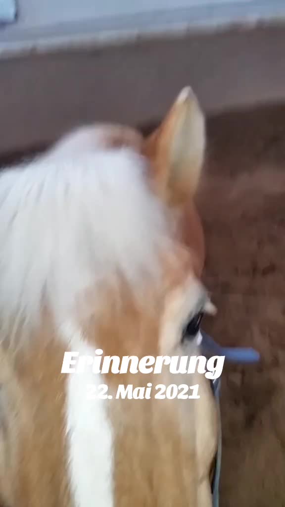 @Petra