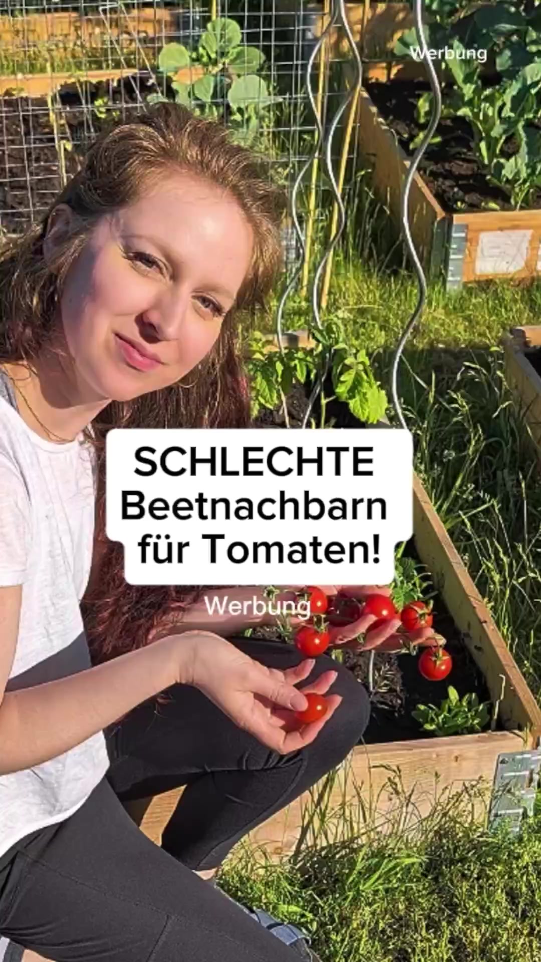@ErnteExperte