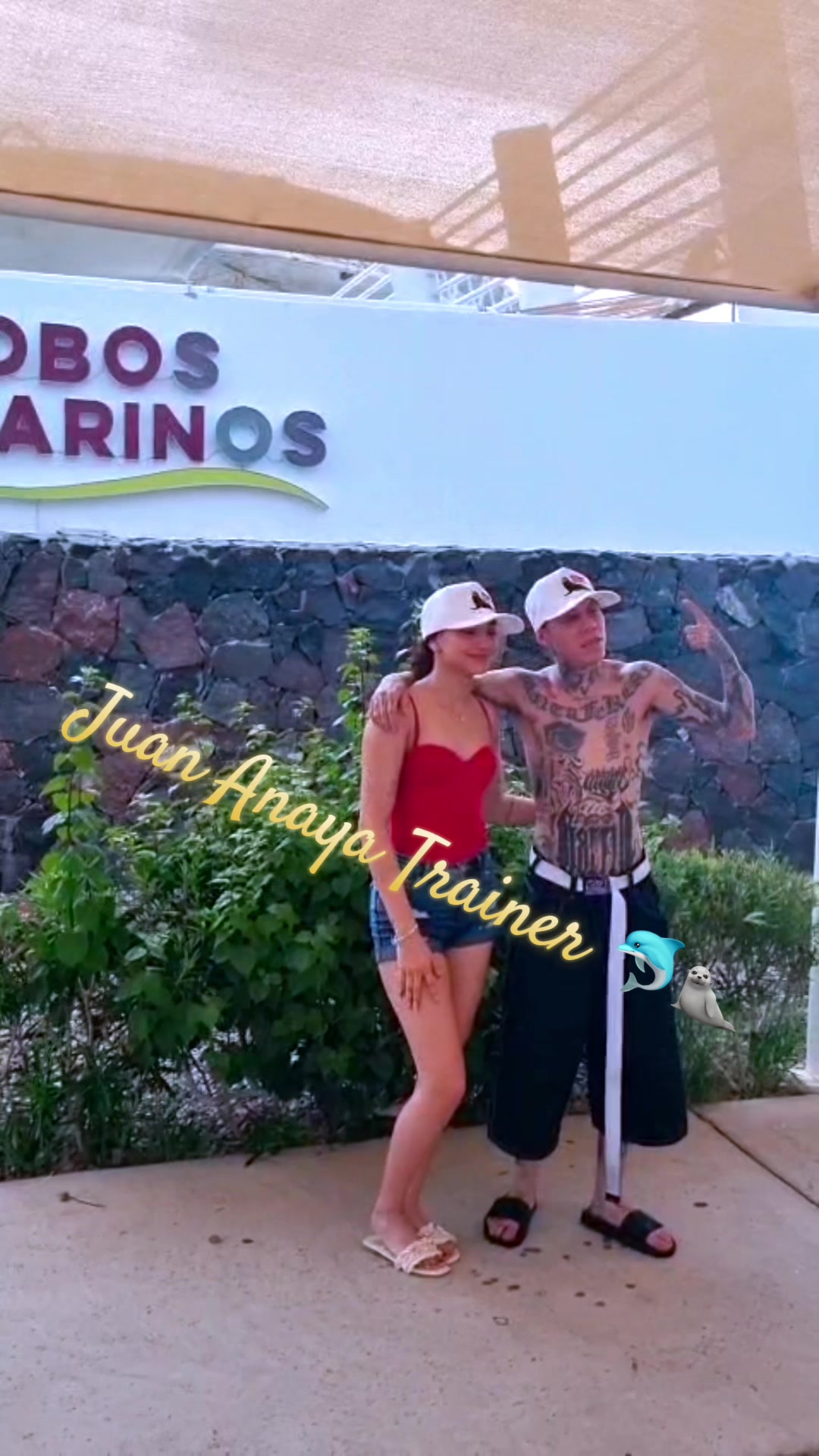 @Juan Anaya Trainer 🐬🦭