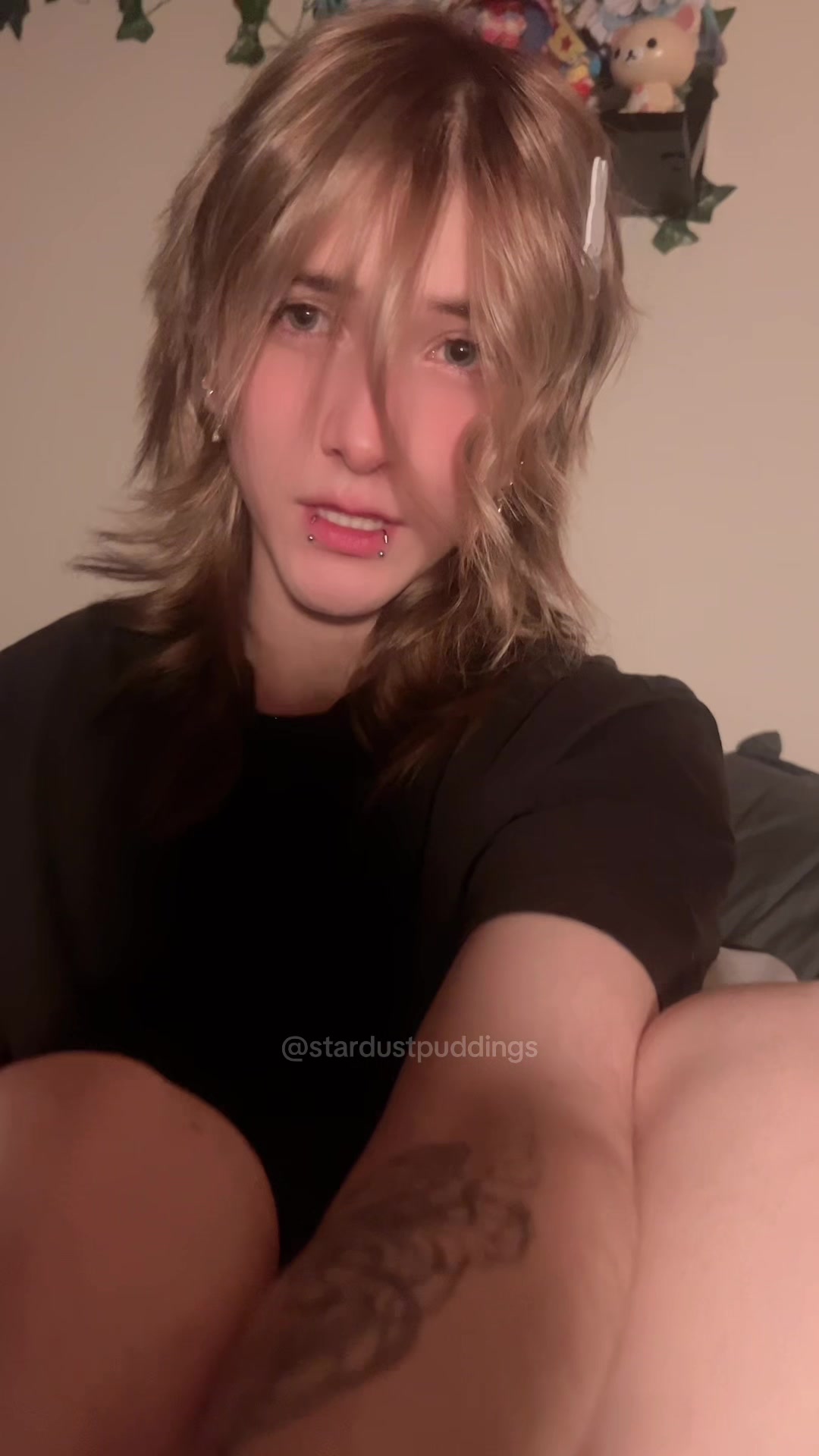 @stardustpuddings