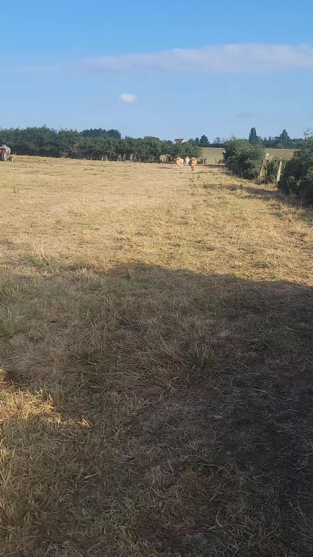 @gaetanegrimaldi21