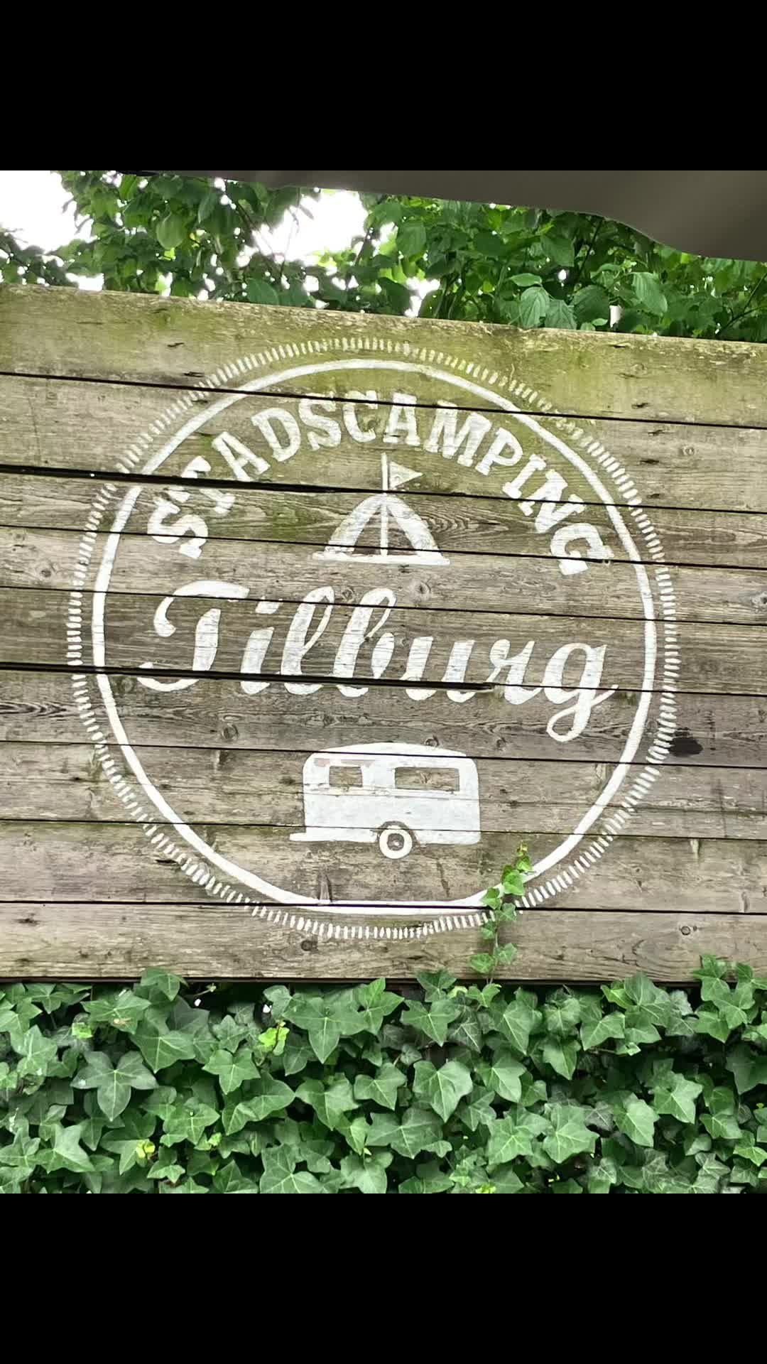 @TIKTOK Tommy *