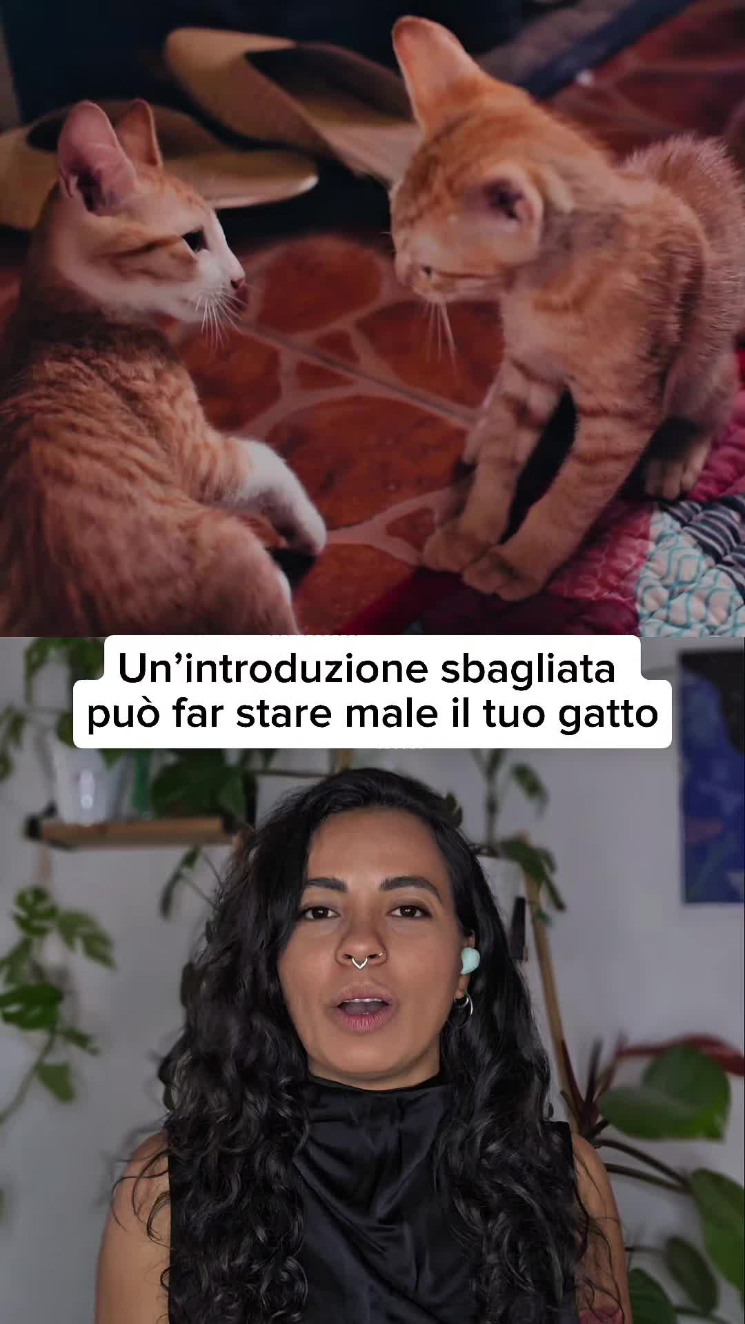 @Dr.ssa Sandra Viana