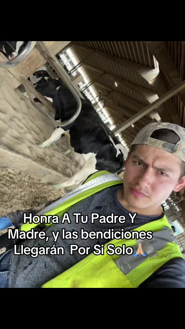 @🩺M&eacute;dico Veterinario Vilchis🤠