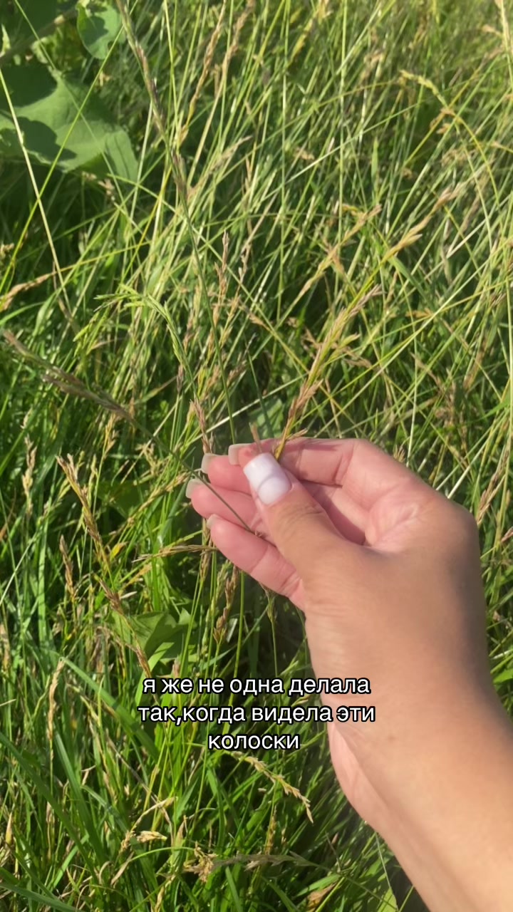 @регишка🪽