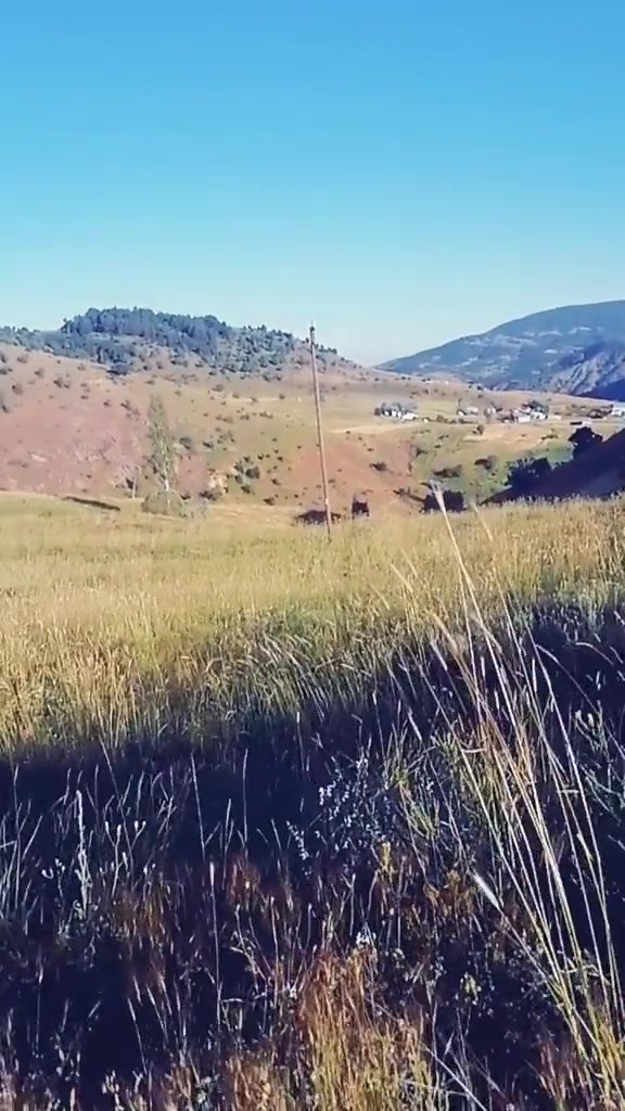 @🌼Çiçek🌼