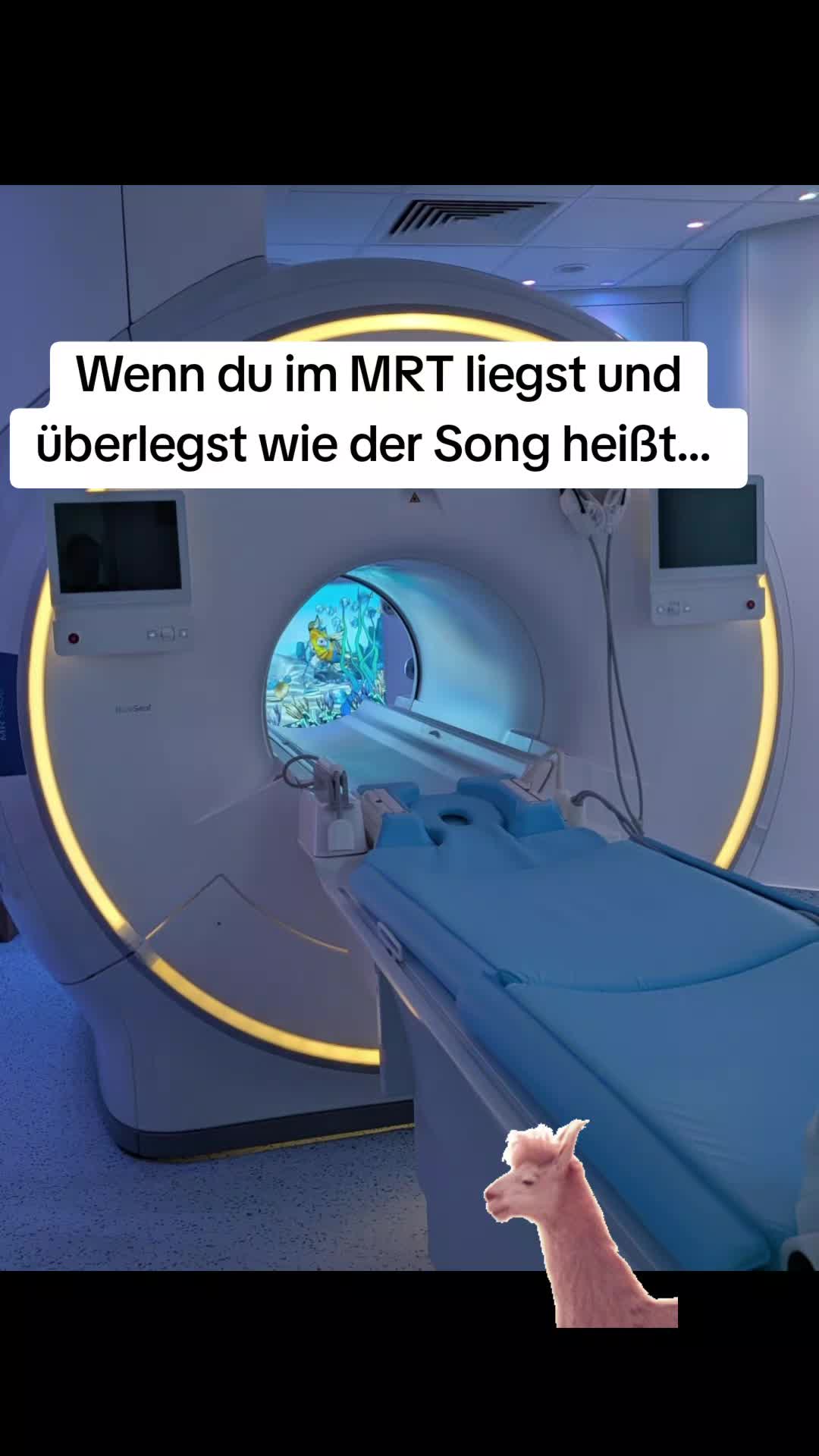 @Mel Angel