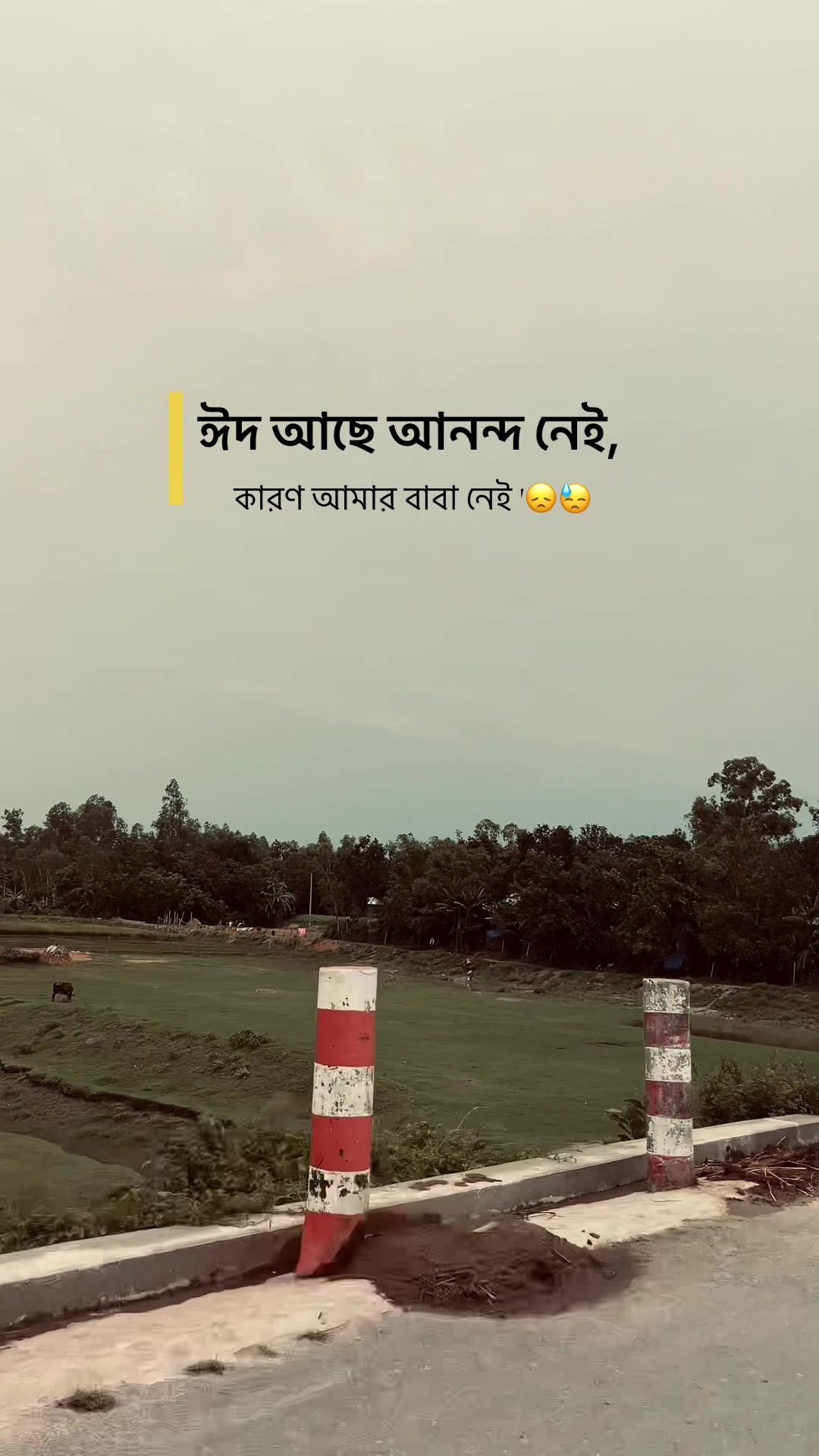 @ᴢꫝʜɪᴅ ••••••