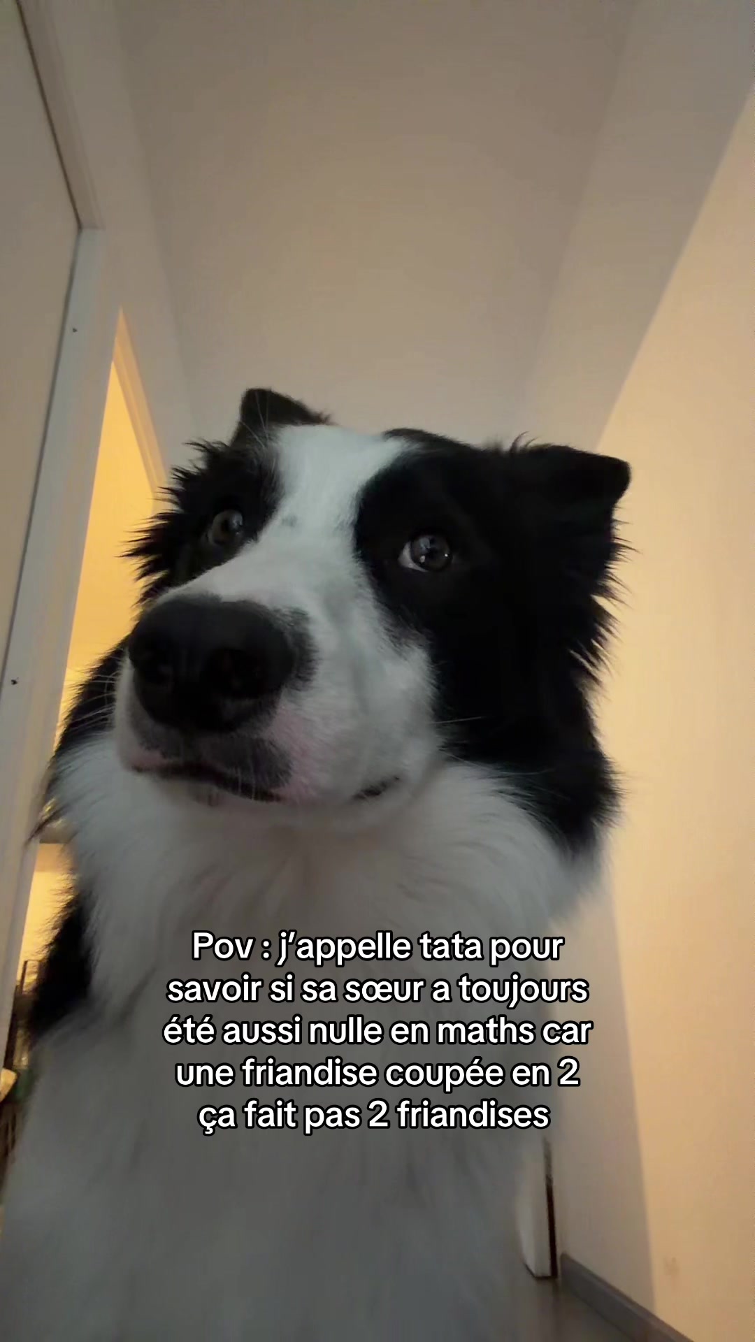 @Tigrou & Asko