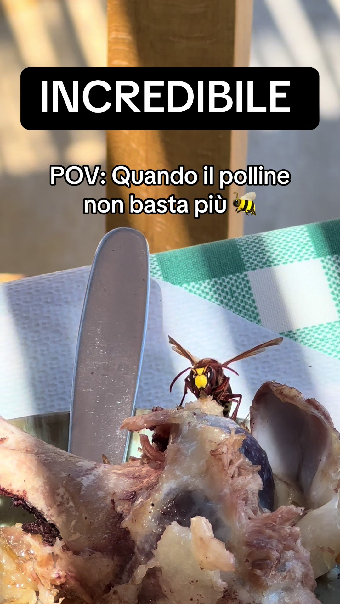 @Mistica
